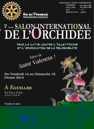 Salon orchidée 2014