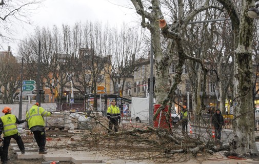 Abattage d'un arbre à la Rotonde © Mairie Aix-en-Provence